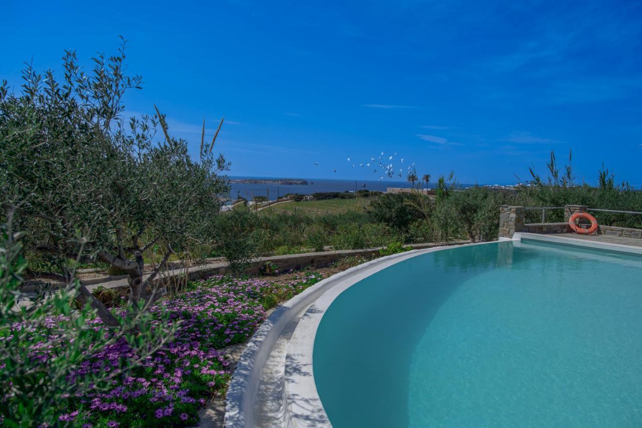 Anthemion Paros - Villas & Suites Agia Irini  Екстер'єр фото