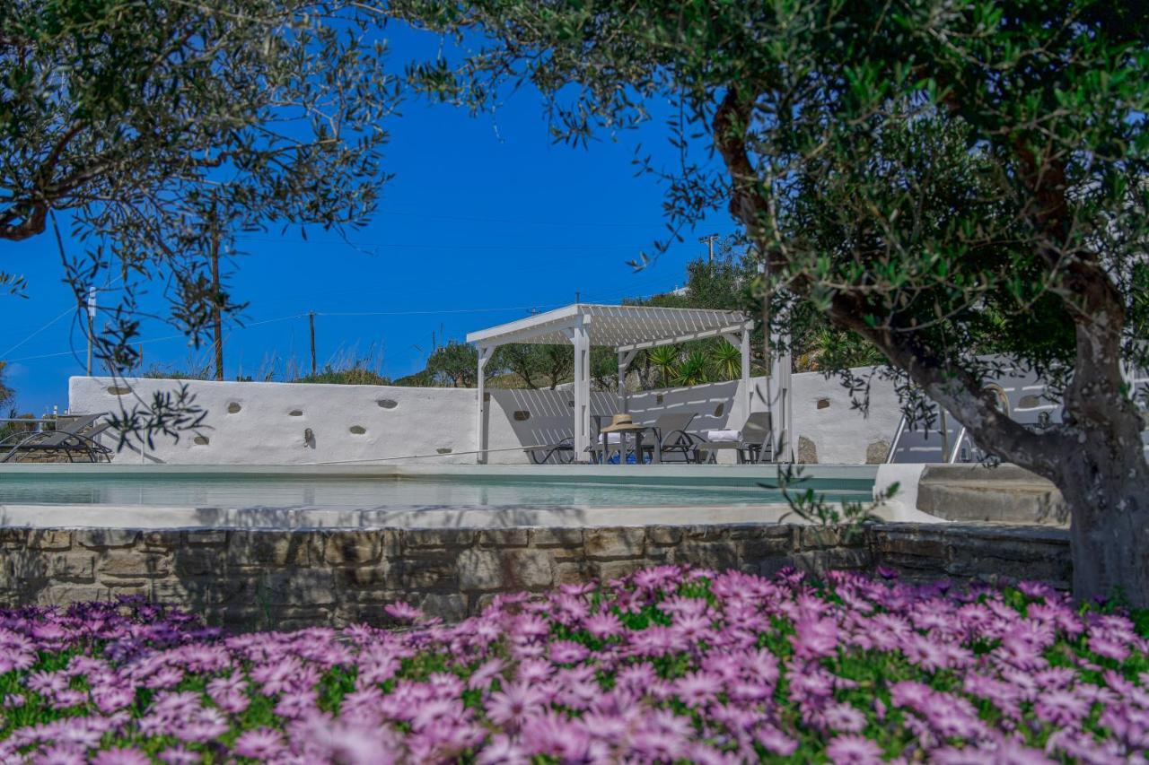 Anthemion Paros - Villas & Suites Agia Irini  Екстер'єр фото