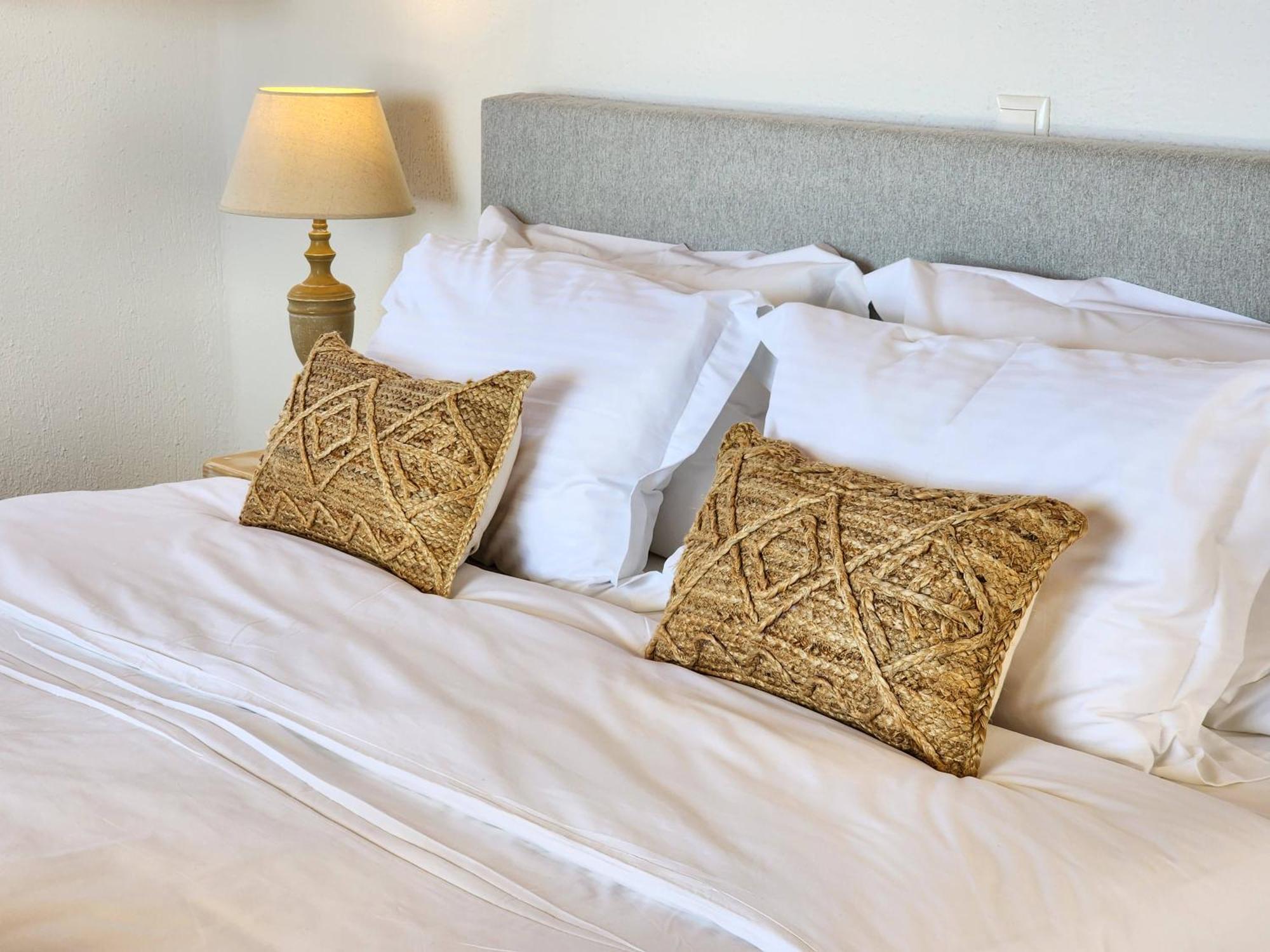 Anthemion Paros - Villas & Suites Agia Irini  Екстер'єр фото